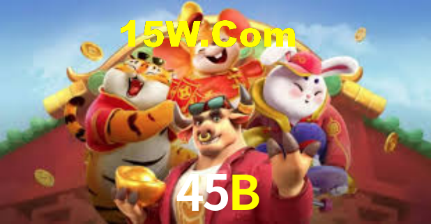 Premium Interface 45B