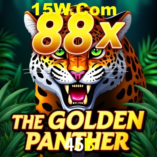 45B Rio de Janeiro - Bonus Terms