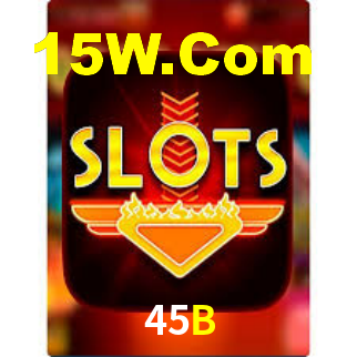 45B - Installation Guide