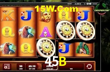 45B Rio de Janeiro - Licenses