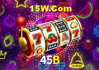 45B - User Statistics